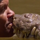 Image for article titled Watching A Man Kiss A Crocodile On The Lips Is As Scary As It Sounds
